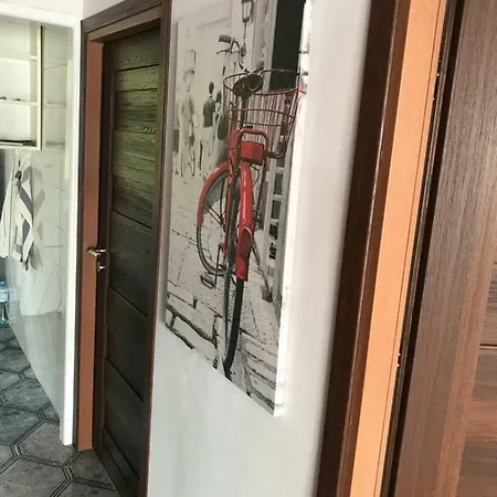 Apartament Rona Apartment