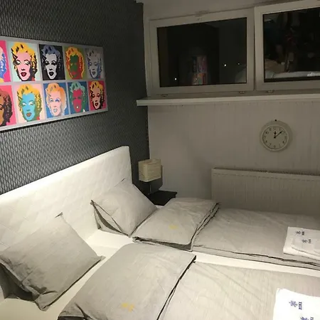 Apartament Rona *
